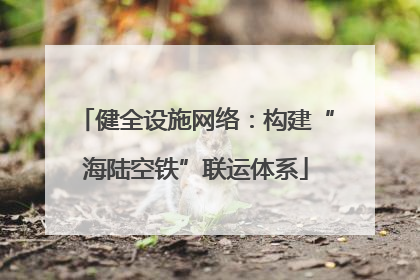 健全设施网络：构建“海陆空铁”联运体系