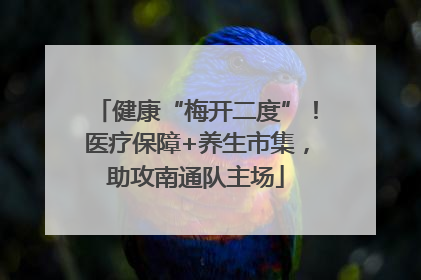健康“梅开二度”！医疗保障+养生市集，助攻南通队主场