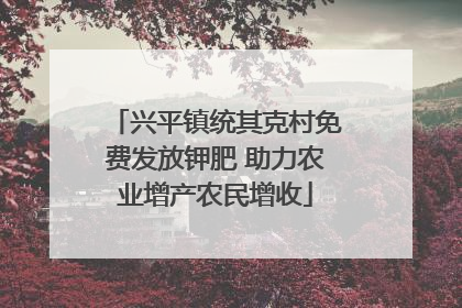 兴平镇统其克村免费发放钾肥 助力农业增产农民增收