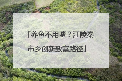 养鱼不用塘？江陵秦市乡创新致富路径