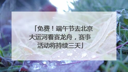 免费！端午节去北京大运河看赛龙舟，赛事活动将持续三天