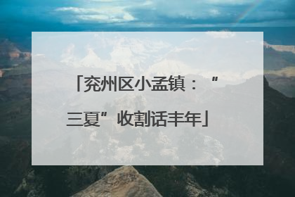 兖州区小孟镇：“三夏”收割话丰年