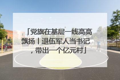 党旗在基层一线高高飘扬丨退伍军人当书记，带出一个亿元村
