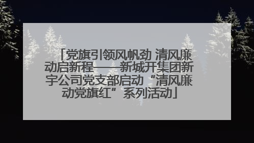 党旗引领风帆劲 清风廉动启新程——新城开集团新宇公司党支部启动“清风廉动党旗红”系列活动