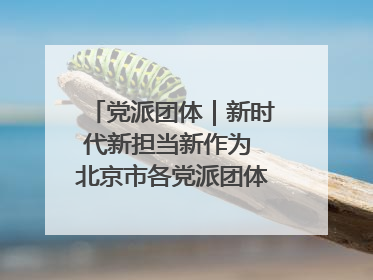 党派团体｜新时代新担当新作为 北京市各党派团体这么干！
