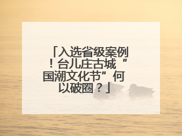 入选省级案例！台儿庄古城“国潮文化节”何以破圈？