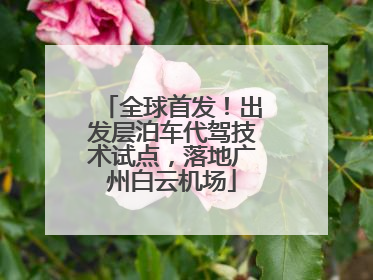 全球首发！出发层泊车代驾技术试点，落地广州白云机场