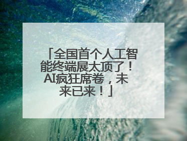 全国首个人工智能终端展太顶了！AI疯狂席卷，未来已来！
