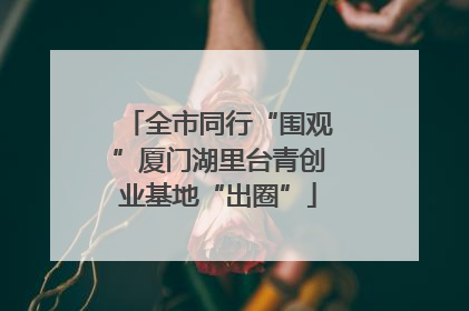 全市同行“围观”厦门湖里台青创业基地“出圈”