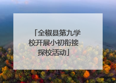 全椒县第九学校开展小初衔接探校活动