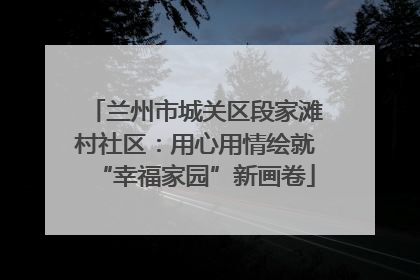 兰州市城关区段家滩村社区：用心用情绘就“幸福家园”新画卷