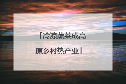 冷凉蔬菜成高原乡村热产业