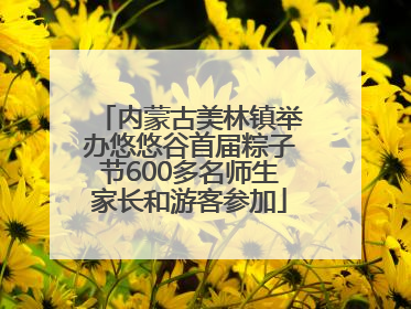 内蒙古美林镇举办悠悠谷首届粽子节600多名师生家长和游客参加