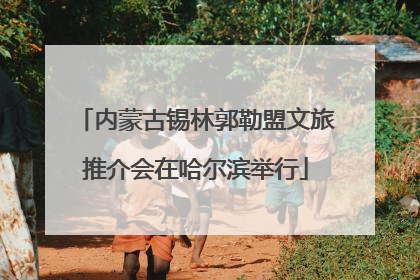 内蒙古锡林郭勒盟文旅推介会在哈尔滨举行