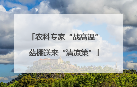 农科专家“战高温” 菇棚送来“清凉策”