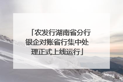 农发行湖南省分行银企对账省行集中处理正式上线运行