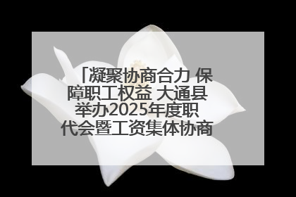 凝聚协商合力 保障职工权益 大通县举办2025年度职代会暨工资集体协商现场观摩交流活动