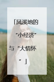 凤溪地的“小经济”与“大情怀”