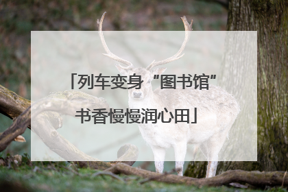 列车变身“图书馆” 书香慢慢润心田