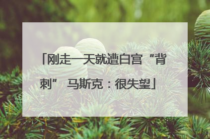 刚走一天就遭白宫“背刺” 马斯克：很失望