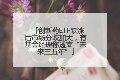 创新药ETF暴涨后市场分歧加大，有基金经理称透支“未来三五年”