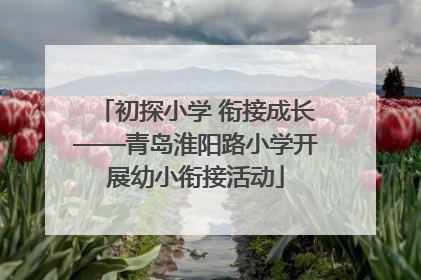 初探小学 衔接成长——青岛淮阳路小学开展幼小衔接活动