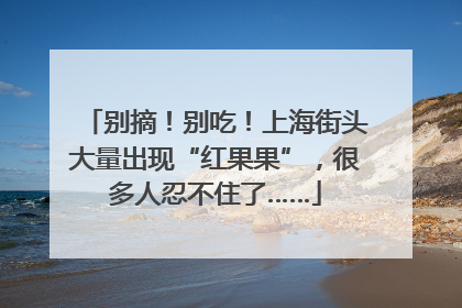别摘！别吃！上海街头大量出现“红果果”，很多人忍不住了……