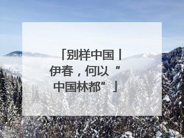 别样中国丨伊春，何以“中国林都”