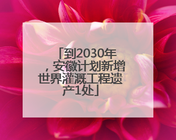 到2030年，安徽计划新增世界灌溉工程遗产1处