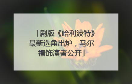 剧版《哈利波特》最新选角出炉，马尔福饰演者公开