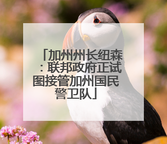 加州州长纽森：联邦政府正试图接管加州国民警卫队
