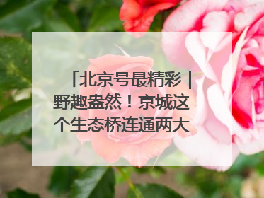北京号最精彩｜野趣盎然！京城这个生态桥连通两大网红公园