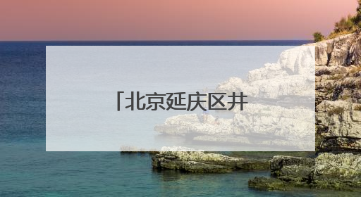 北京延庆区井庄镇乡村奥莱商街开街运营