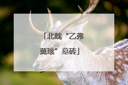 北魏“乙弗莫瓌”墓砖