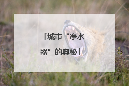 城市“净水器”的奥秘
