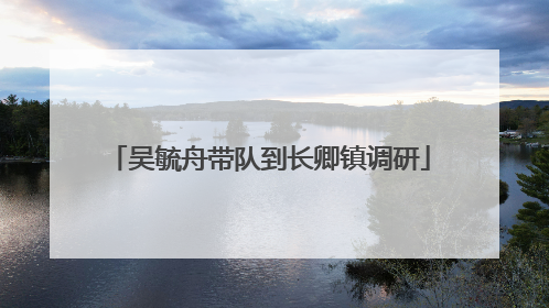 吴毓舟带队到长卿镇调研
