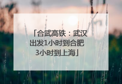 合武高铁：武汉出发1小时到合肥3小时到上海