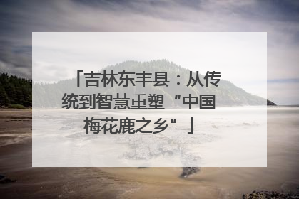吉林东丰县：从传统到智慧重塑“中国梅花鹿之乡”