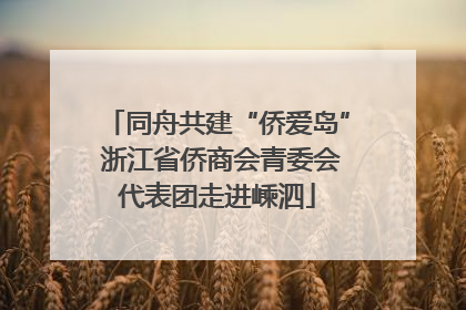 同舟共建“侨爱岛” 浙江省侨商会青委会代表团走进嵊泗
