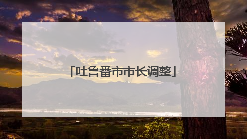 吐鲁番市市长调整