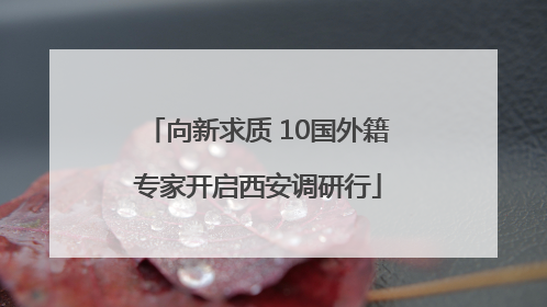 向新求质 10国外籍专家开启西安调研行
