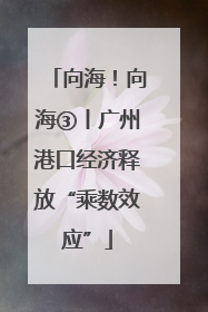 向海！向海③丨广州港口经济释放“乘数效应”
