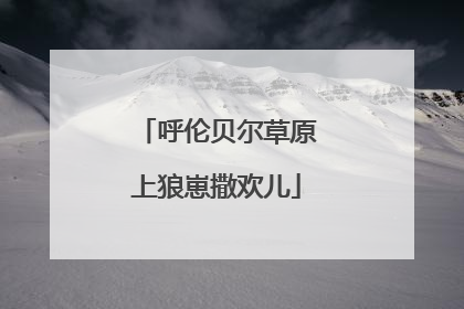 呼伦贝尔草原上狼崽撒欢儿