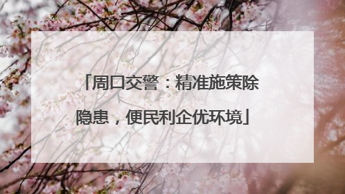 周口交警：精准施策除隐患，便民利企优环境