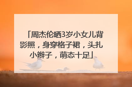 周杰伦晒3岁小女儿背影照，身穿格子裙，头扎小辫子，萌态十足