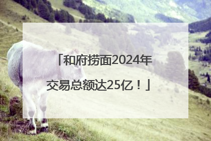 和府捞面2024年交易总额达25亿！