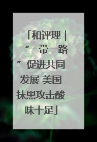 和评理｜“一带一路”促进共同发展 美国抹黑攻击酸味十足