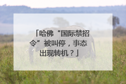 哈佛“国际禁招令”被叫停，事态出现转机？