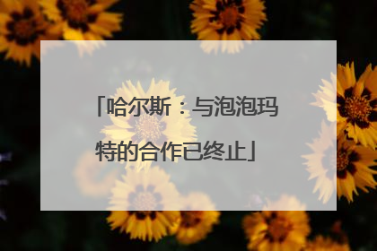 哈尔斯：与泡泡玛特的合作已终止