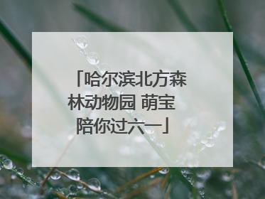 哈尔滨北方森林动物园 萌宝陪你过六一